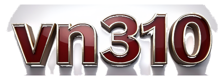 vn310 logo